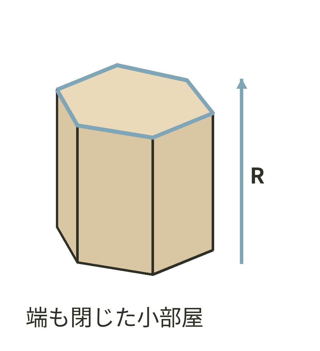 ① 端まで細胞壁で閉じた多角柱状の小部屋とR方向