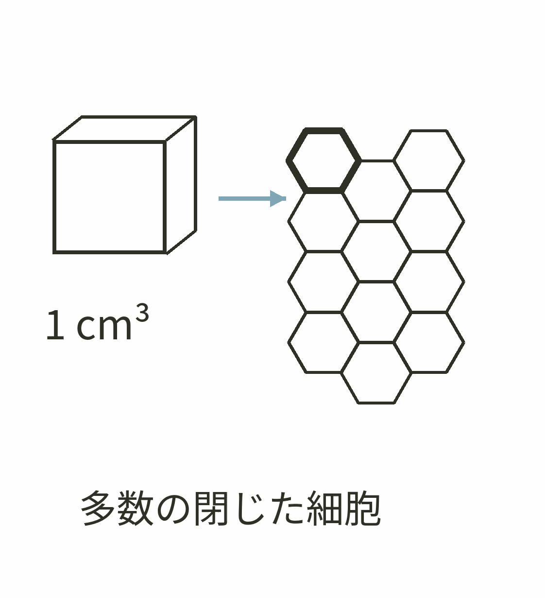 ④ 小さな体積に多数の細胞が集まる様子を示す模式図