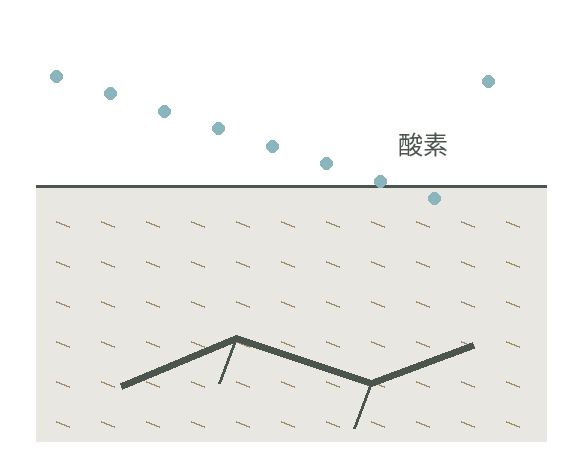水を多く含む泥の中で、根のまわりの酸素が乏しくなる様子を示す模式図