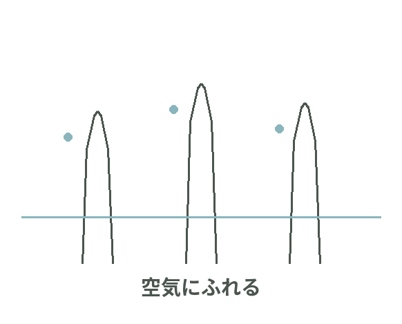 干潮時には呼吸根が空気に露出し、完全に水没する満潮時には酸素補給が制限される比較図
