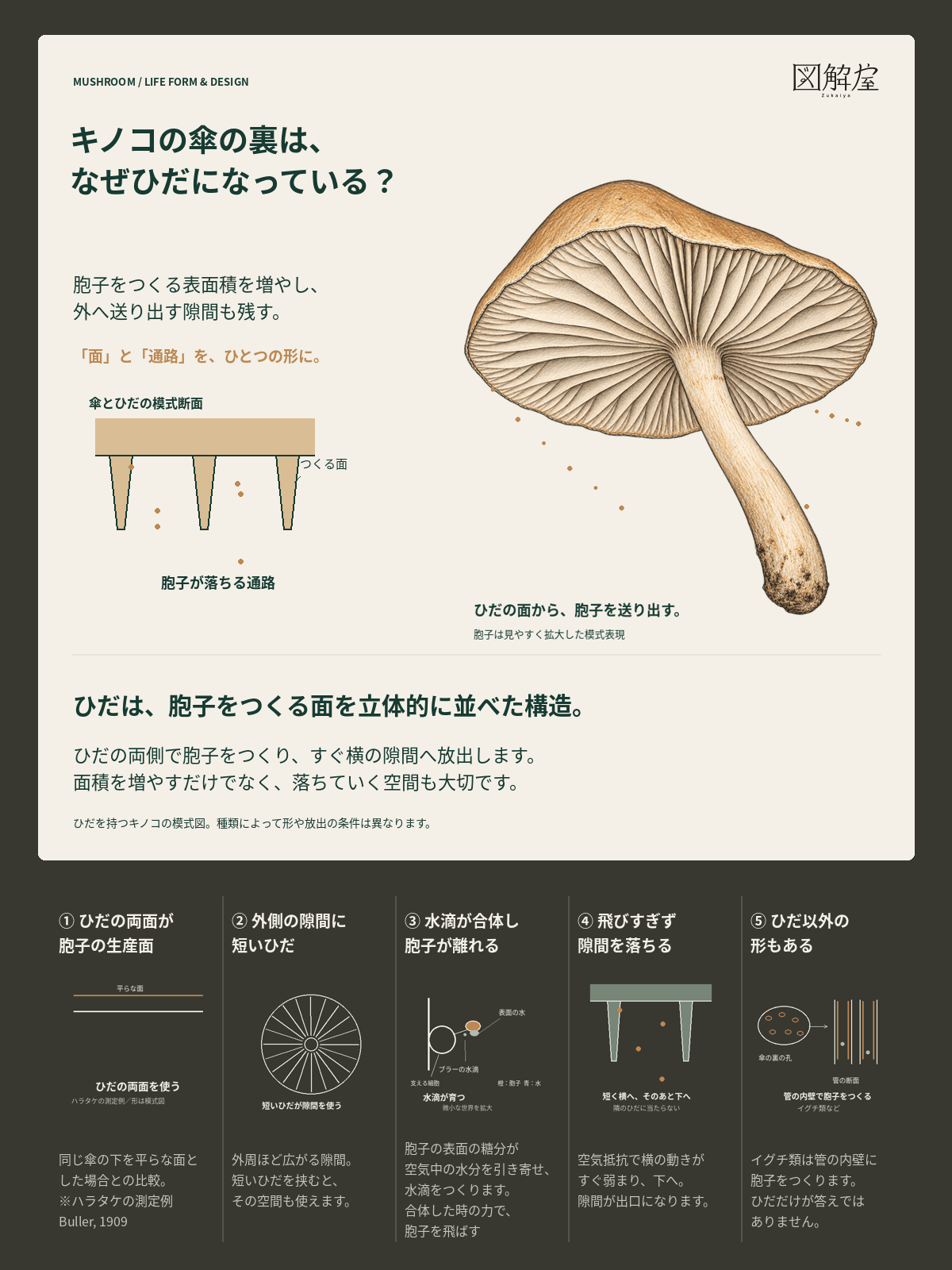 全体カード。メイン図・断面・下段の5項目をGIF化しています。
