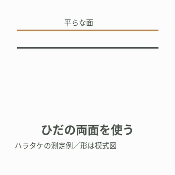 面積を比較する模型。ひだの発生過程ではありません。