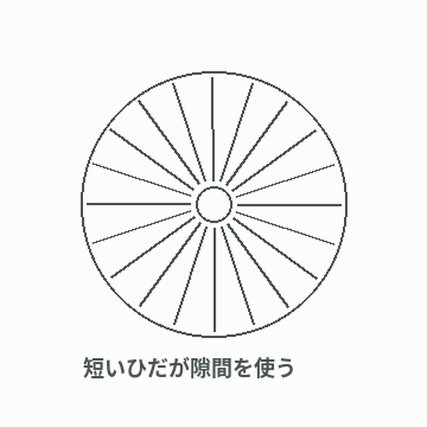 長いひだと短いひだの配置を示す模式図。成長順序の再現ではありません。