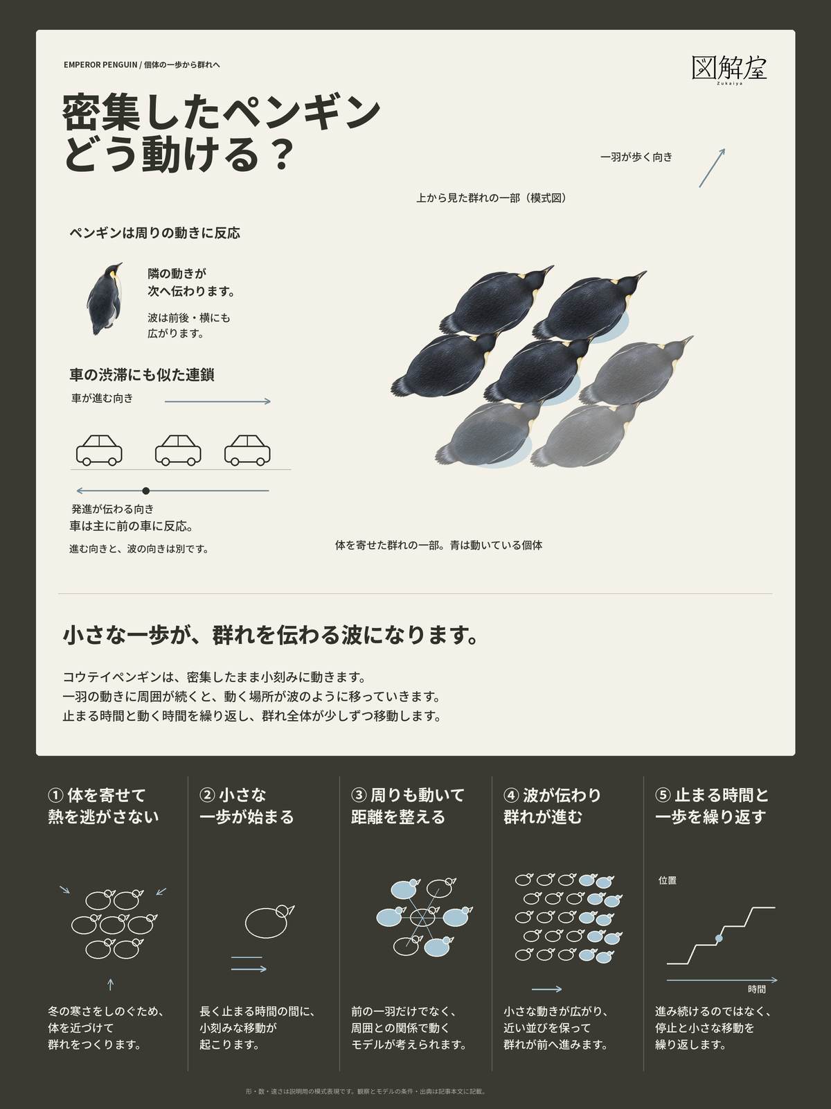密集したペンギンは、どうやって動ける?