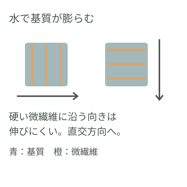 硬いセルロース微繊維の向きが基質の膨張を制約する模式図