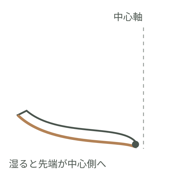 鱗片の根元が曲がり、先端が中心軸へ寄る様子