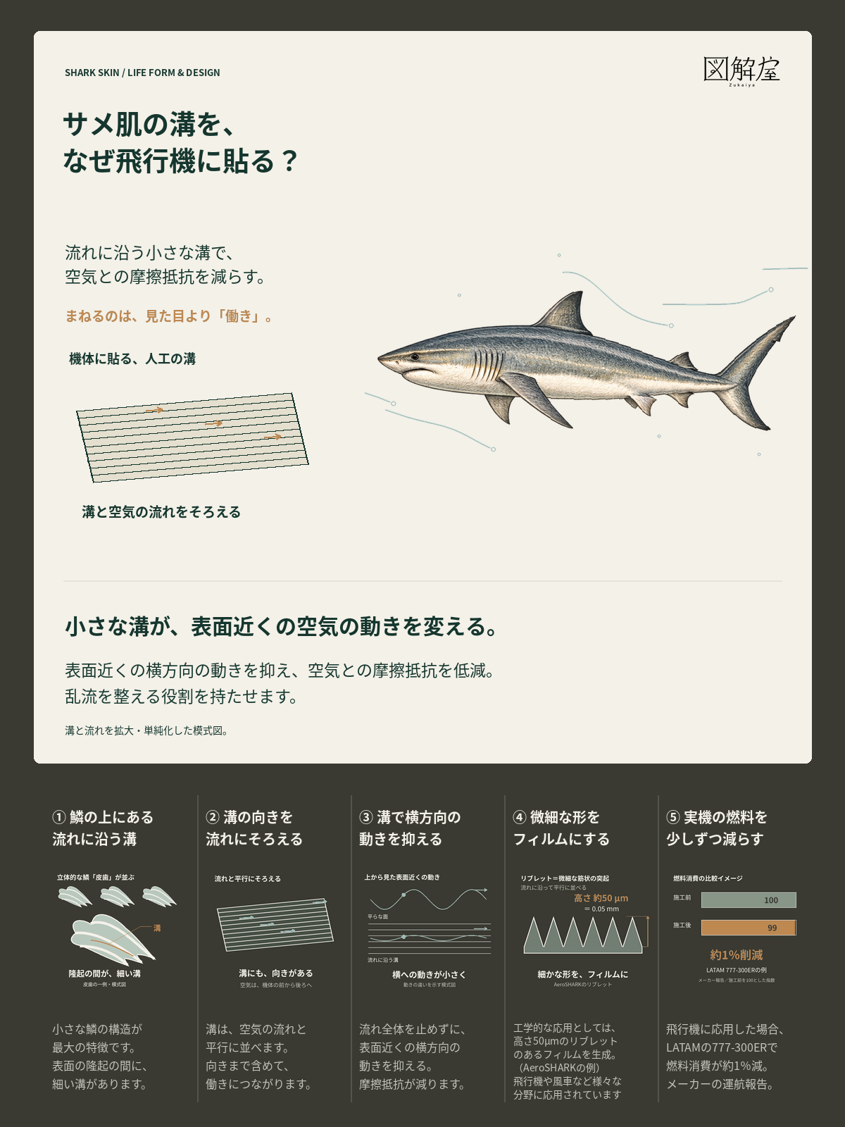 サメ肌の溝を、なぜ飛行機に貼る?
