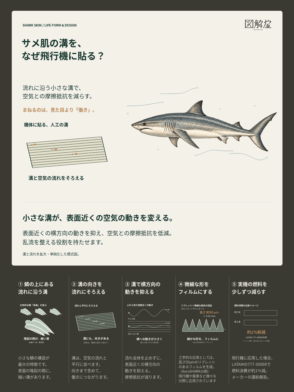 泳ぐサメと肌の鱗、流れと溝の向き、横向きの動きを抑える働き、人工フィルムと実機利用をまとめた図解カード