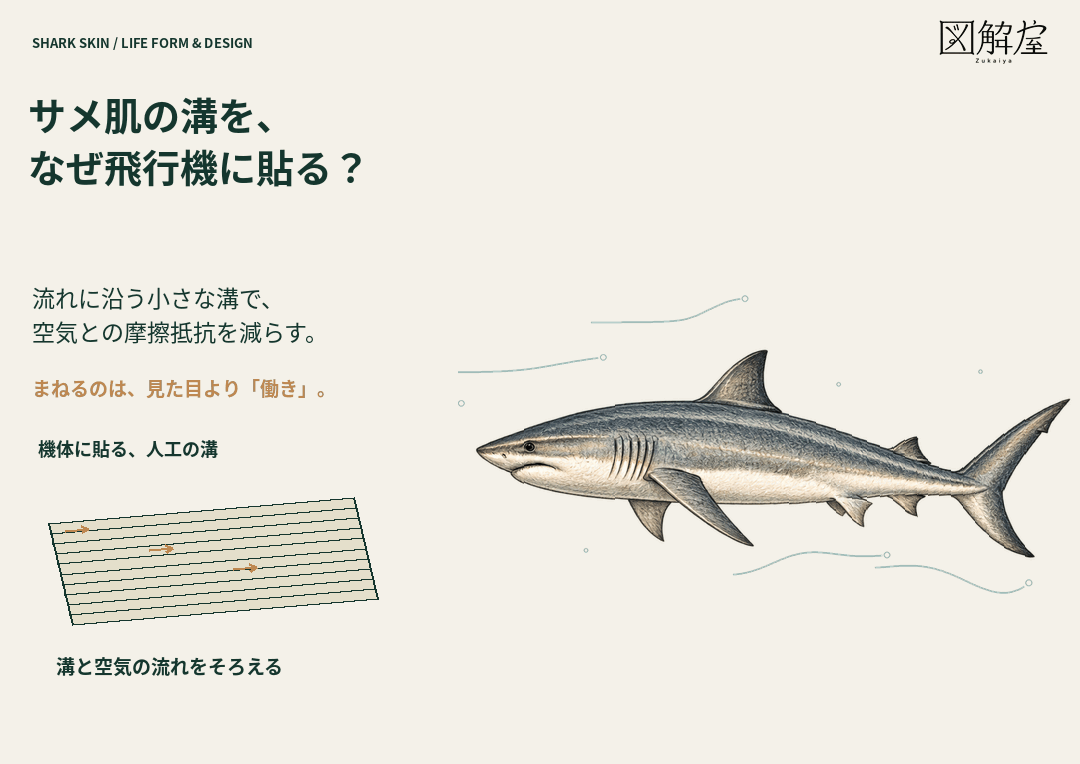 中央を泳ぐサメと、体に沿って回り込む流線や小さな水泡を示す図解