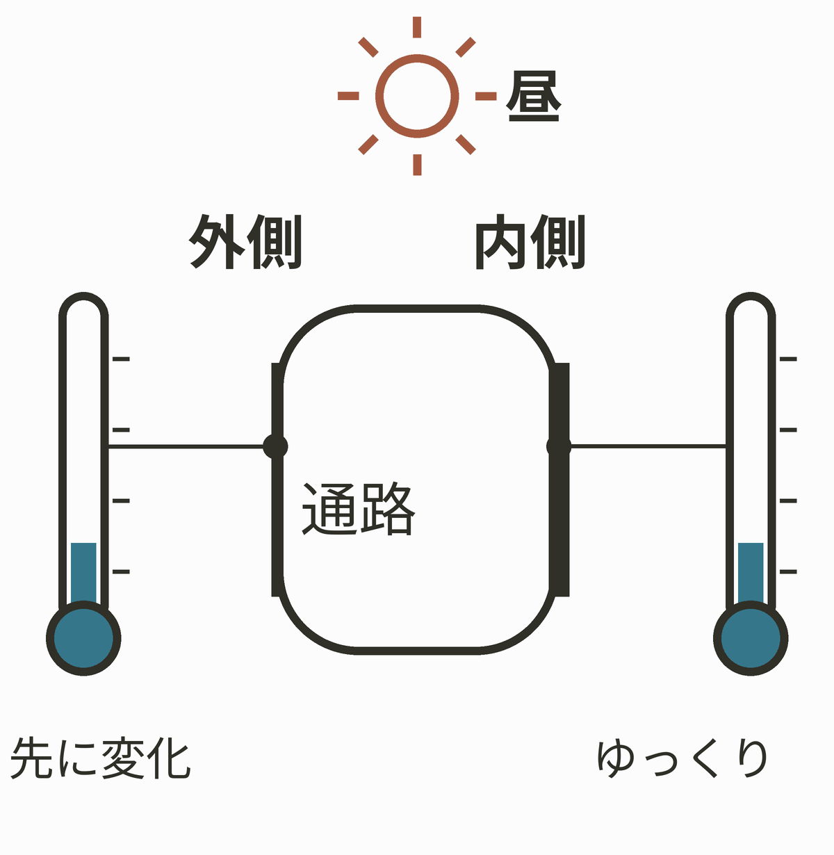 ② 薄い外側が、先に変わる